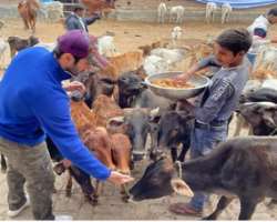 Duggal is an animal lover and remains always active to help abandoned and sick animals.